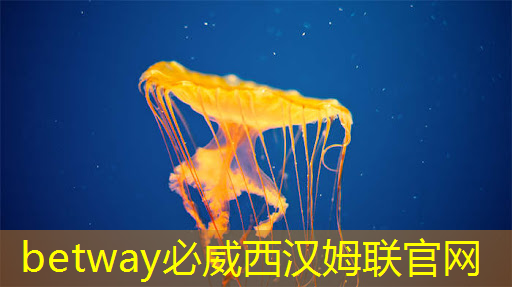 祖国真硬气!美国不卖高端芯片,那低端芯片也别卖了! 祖国真硬气!美国不卖高端芯片,那低端芯片也别卖了!