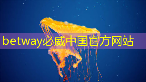必威:微软又有新动作:打造全新的芯片融合Win12,发挥超强性能? 必威:微软又有新动作:打造全新的芯片融合Win12,发挥超强性能?