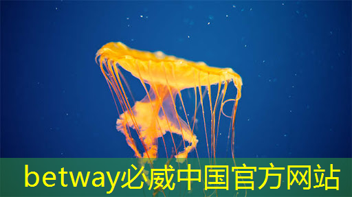 betway必威中国官方网站:云豹智能产品应用负责人安东尼:云原生DPU芯片的创新与应用|直播预告 betway必威中国官方网站:云豹智能产品应用负责人安东尼:云原生DPU芯片的创新与应用|直播预告