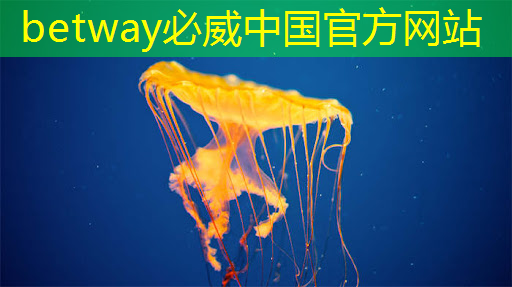 AI芯片ASIC领域深度解析!A股市场博通级潜力股大揭秘! AI芯片ASIC领域深度解析!A股市场博通级潜力股大揭秘!