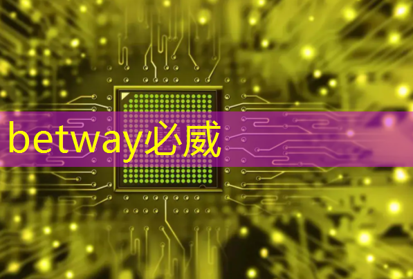 必威:WAIC2021|使能智慧交通,黑芝麻智能核心芯片推动汽车产业“智”变升级 必威:WAIC2021|使能智慧交通,黑芝麻智能核心芯片推动汽车产业“智”变升级