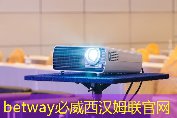betway必威:张强:中国汽车智能芯片行业里的行动派 betway必威:张强:中国汽车智能芯片行业里的行动派
