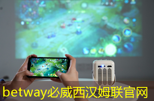 betway必威：时擎智能设计总监曹英杰教你用RISC-V设计AIoT边缘计算芯片（内文送书）