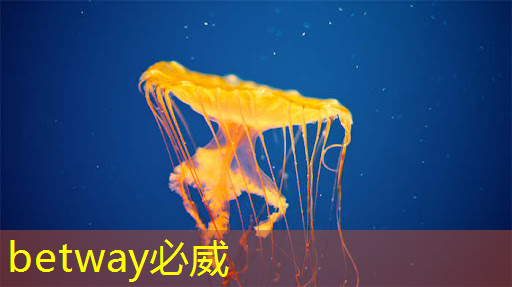 betway必威:射频芯片和普通芯片的不同之处在哪? betway必威:射频芯片和普通芯片的不同之处在哪?
