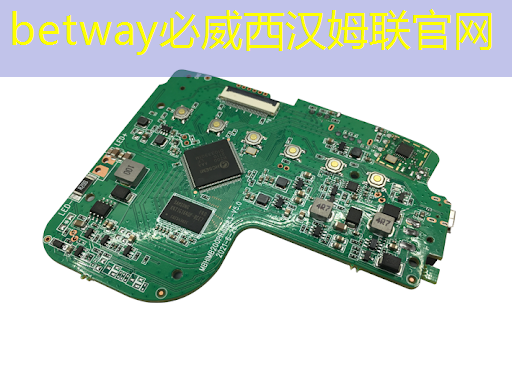 betway必威中国官方网站:接力巨轮智能,全国唯一人形机器人芯片龙头,业绩暴增354%+306家机构提前爆买 betway必威中国官方网站:接力巨轮智能,全国唯一人形机器人芯片龙头,业绩暴增354%+306家机构提前爆买
