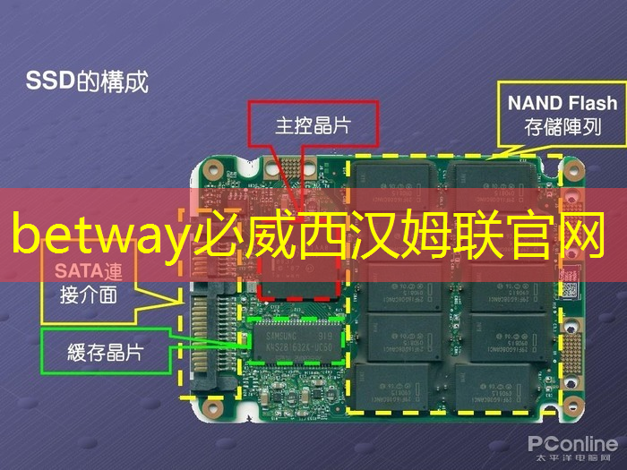 betway必威：数字中国如何应对芯片技术封锁所带来的算力挑战？