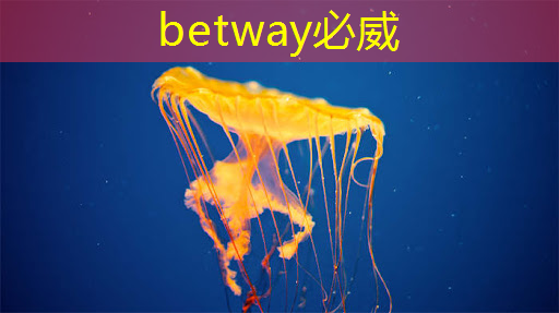 betway必威西汉姆联官网：AI, GPU和芯片的未来