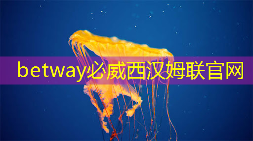 betway必威中国官方网站:【转载】课程介绍 | “人工智能与芯片设计” 介绍来啦! betway必威中国官方网站:【转载】课程介绍 | “人工智能与芯片设计” 介绍来啦!
