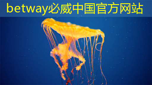 betway必威西汉姆联官网:速递|前谷歌员工创立的AI芯片MatX,比英伟达提高10倍,完成超3亿美元估值A轮融资 betway必威西汉姆联官网:速递|前谷歌员工创立的AI芯片MatX,比英伟达提高10倍,完成超3亿美元估值A轮融资