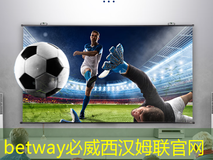 betway必威西汉姆联官网:AI 智能时代的 Azure Maia:从芯片到软件再到系统 betway必威西汉姆联官网:AI 智能时代的 Azure Maia:从芯片到软件再到系统