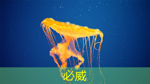 betway必威中国官方网站:智能集成电路与光电子芯片论坛(GIIC2021分论坛) betway必威中国官方网站:智能集成电路与光电子芯片论坛(GIIC2021分论坛)
