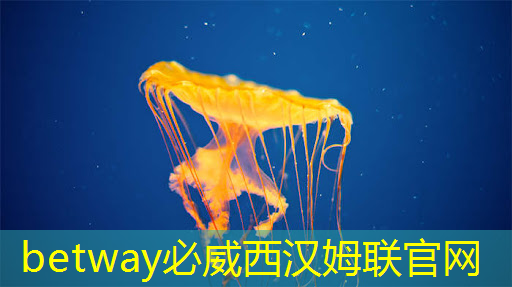 必威:《人工智能芯片技术白皮书(2018)》发布(附下载) 必威:《人工智能芯片技术白皮书(2018)》发布(附下载)