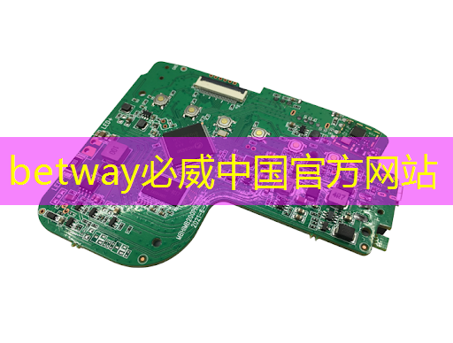 betway必威:英集芯这颗快充协议芯片打入紫米供应链:累计出货破千万颗! betway必威:英集芯这颗快充协议芯片打入紫米供应链:累计出货破千万颗!