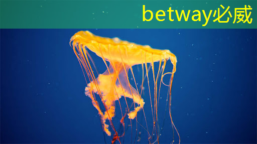 betway必威:华为首款AI芯片麒麟970可每分钟处理2000张照片,是三星S8的20多倍 betway必威:华为首款AI芯片麒麟970可每分钟处理2000张照片,是三星S8的20多倍