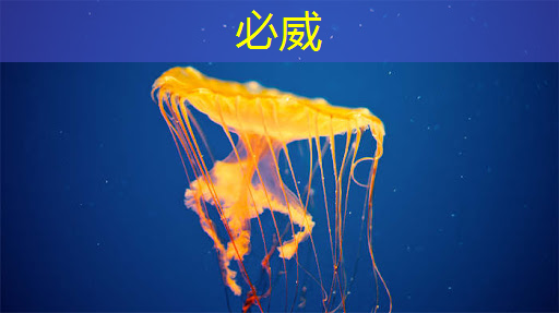 betway必威:华东师大程亚团队: 面向全自动智能生产的连续流微化工合成芯片 betway必威:华东师大程亚团队: 面向全自动智能生产的连续流微化工合成芯片