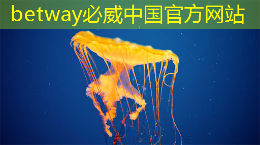 必威:探秘飞腾:国产芯片的崛起之星 必威:探秘飞腾:国产芯片的崛起之星