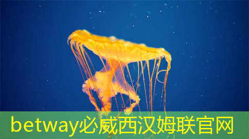 betway必威中国官方网站：芯片与电子产品验证测试创新蓝图（下）