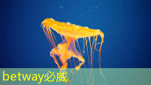 betway必威西汉姆联官网：Nature｜光电计算新突破！芯片性能提升万倍