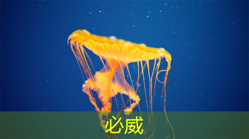 地平线高级研发总监凌坤:好的自动驾驶AI芯片更是“好用”的芯片|直播预告 地平线高级研发总监凌坤:好的自动驾驶AI芯片更是“好用”的芯片|直播预告