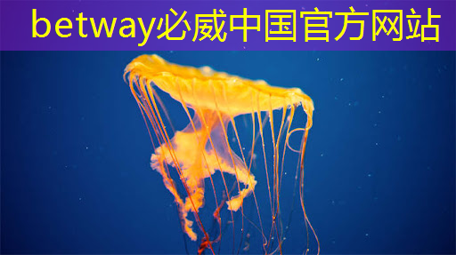 必威:半导体芯片,5家优质企业 必威:半导体芯片,5家优质企业