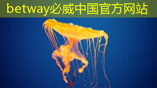 betway必威西汉姆联官网:芯片类型与技术节点 betway必威西汉姆联官网:芯片类型与技术节点