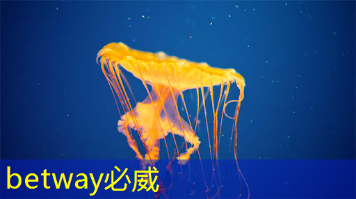 必威:肇观电子CTO周骥:高效实现智能视觉芯片算法部署的关键与挑战|直播课预告 必威:肇观电子CTO周骥:高效实现智能视觉芯片算法部署的关键与挑战|直播课预告