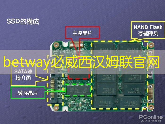 先进院成功研发磁性拉曼检测芯片用于食品安全和环境监测