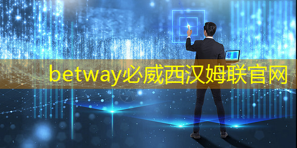 中国自动驾驶芯片突破：128GB／s带宽北极雄芯启明935A系列