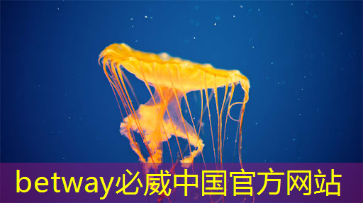 华为订购1600片AI芯片：智能时代的核心竞争力